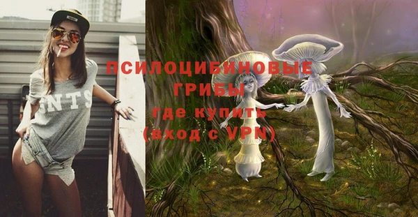 соль ск Володарск
