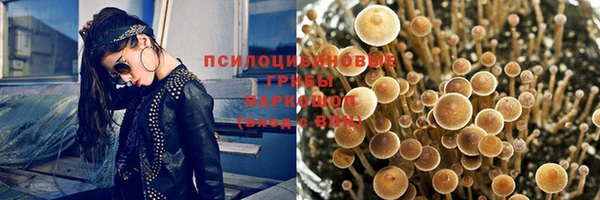 соль ск Володарск