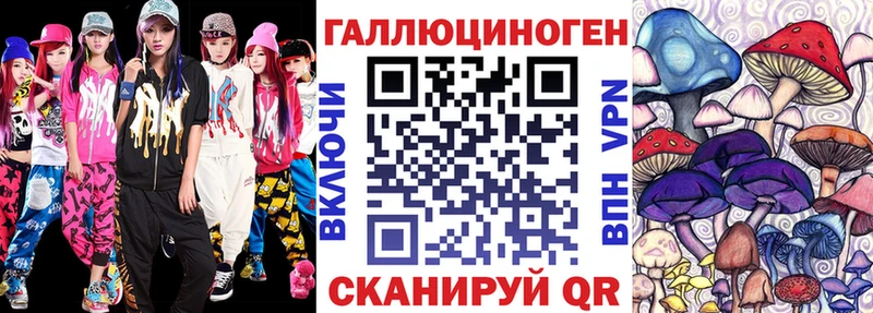 OMG зеркало  даркнет сайт  Хасавюрт  Галлюциногенные грибы Psilocybine cubensis 
